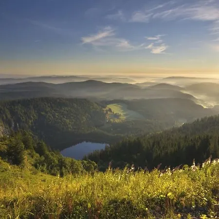 Niki * Titisee-Neustadt