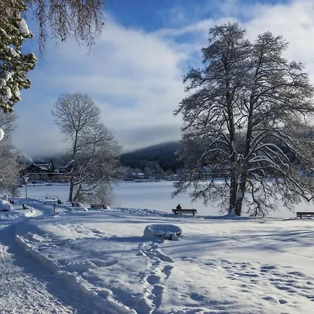 Niki * Titisee-Neustadt