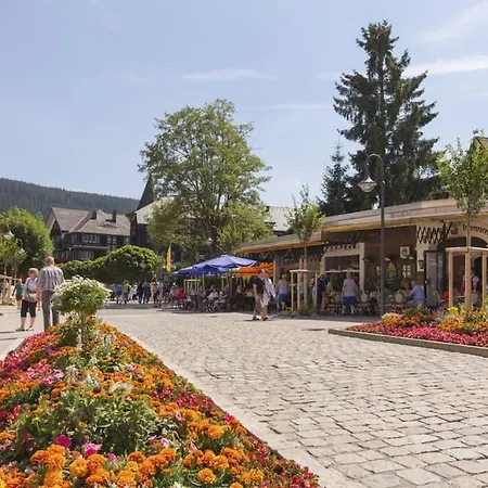 Niki * Titisee-Neustadt