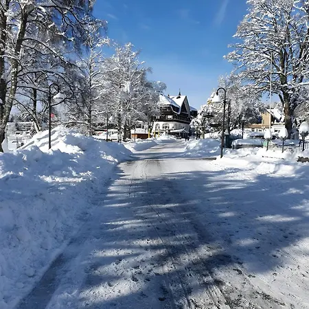 Niki تيتيسي نيوستادت