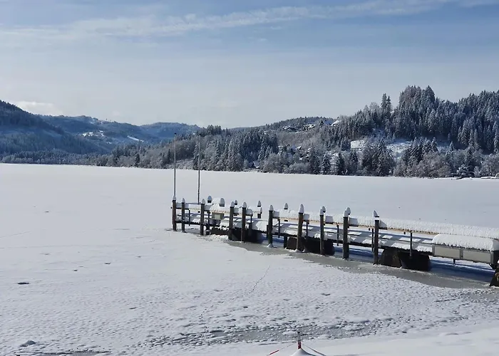 Апартаменты Niki *